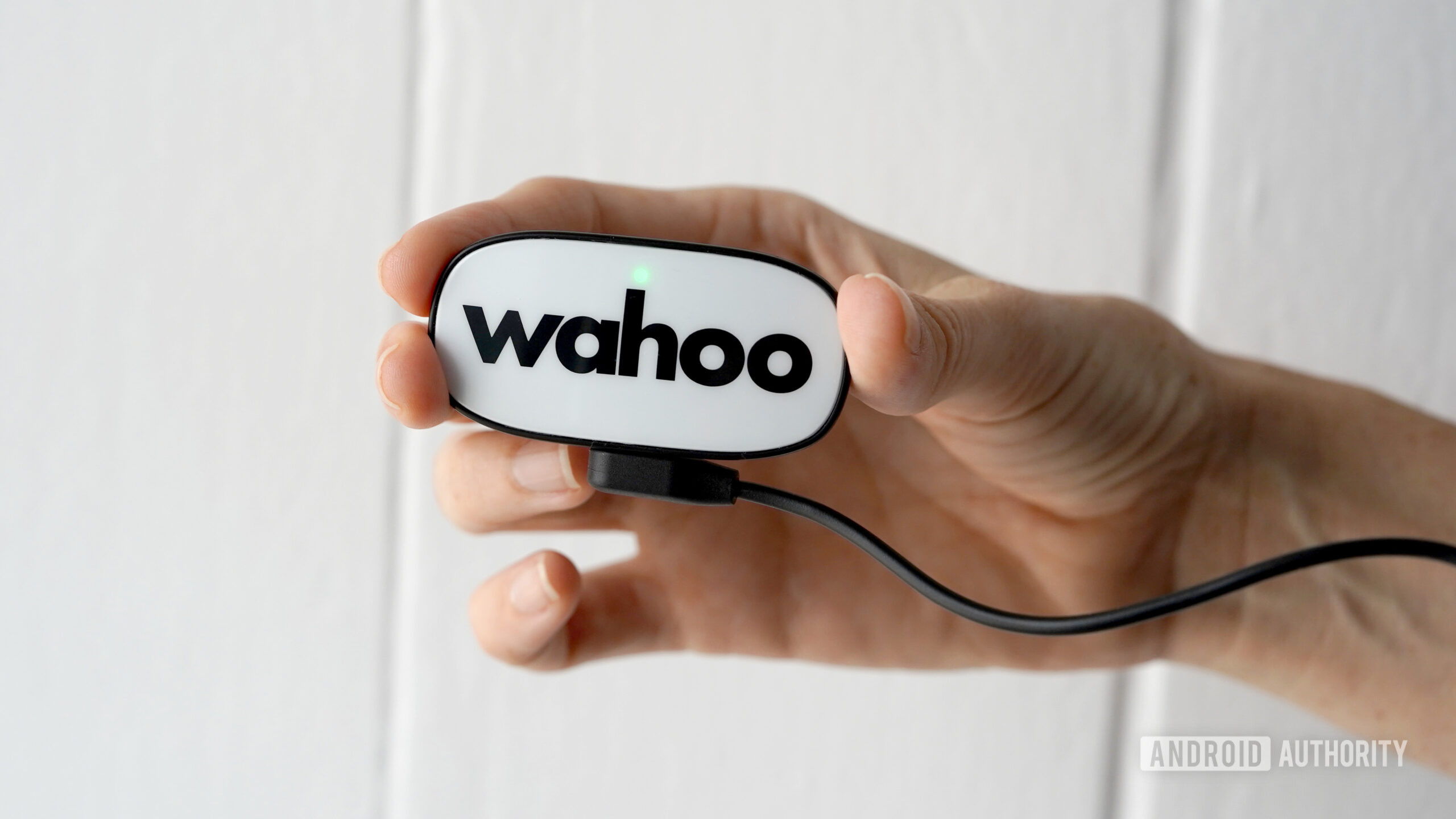 A user holds a fully charged Wahoo Trackr Heart Rate monitor.