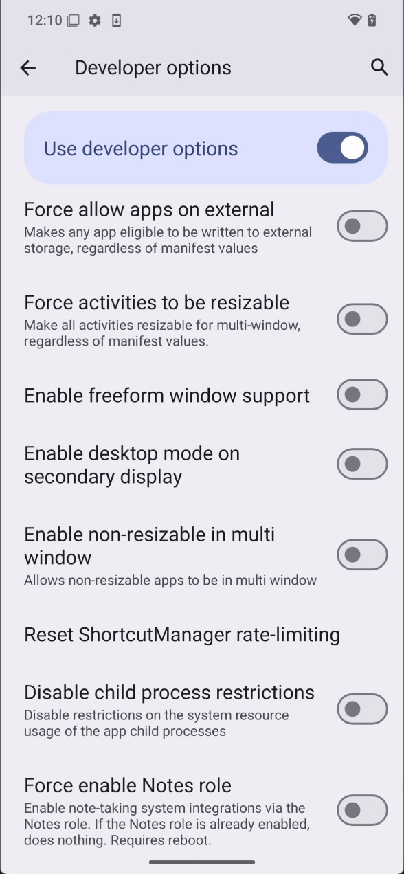 Android 15 QPR1 Beta 1 developer options