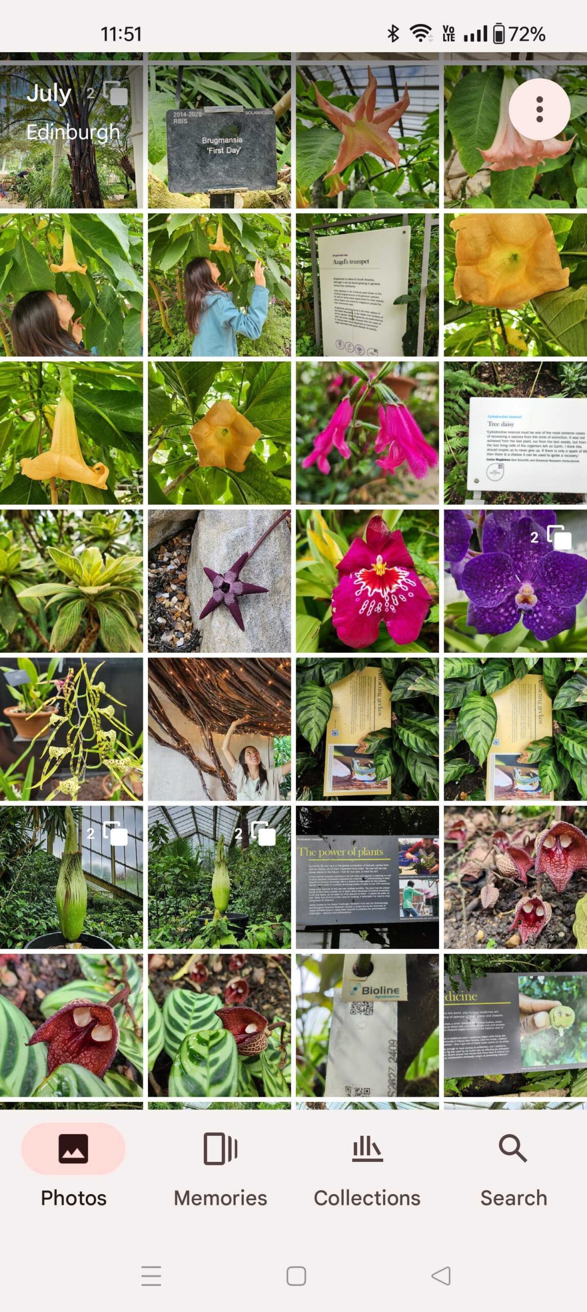 Google Photos Pinch to Zoom 3