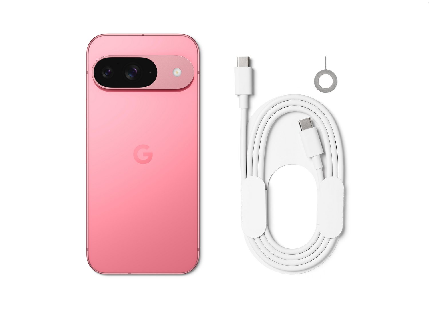 Google Pixel 9 Leaked box contents