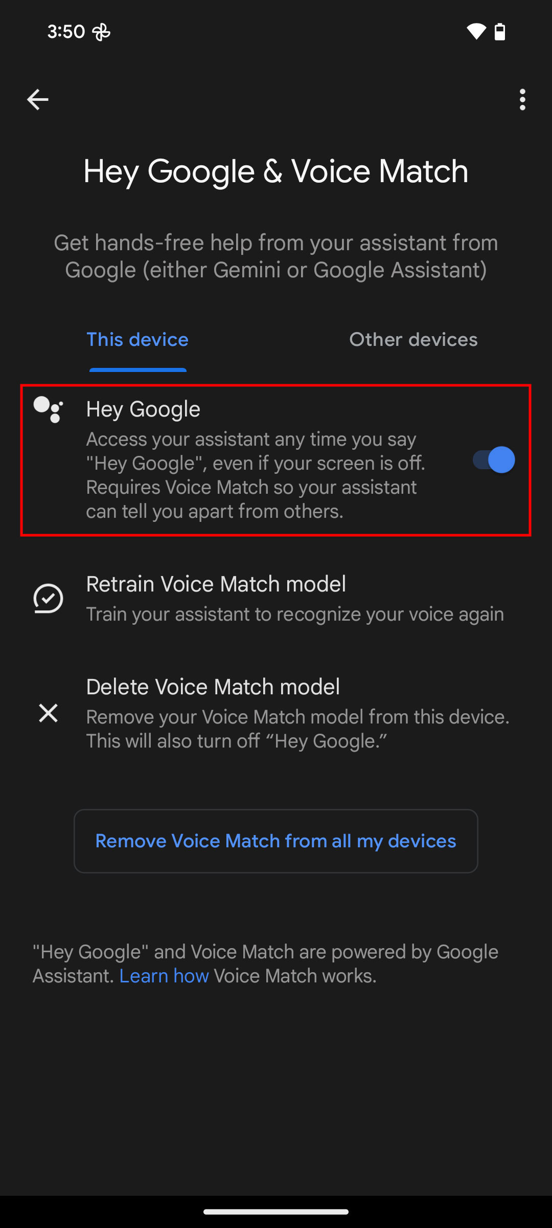 How to enable “Hey, Google” on a Pixel 9 device (6)