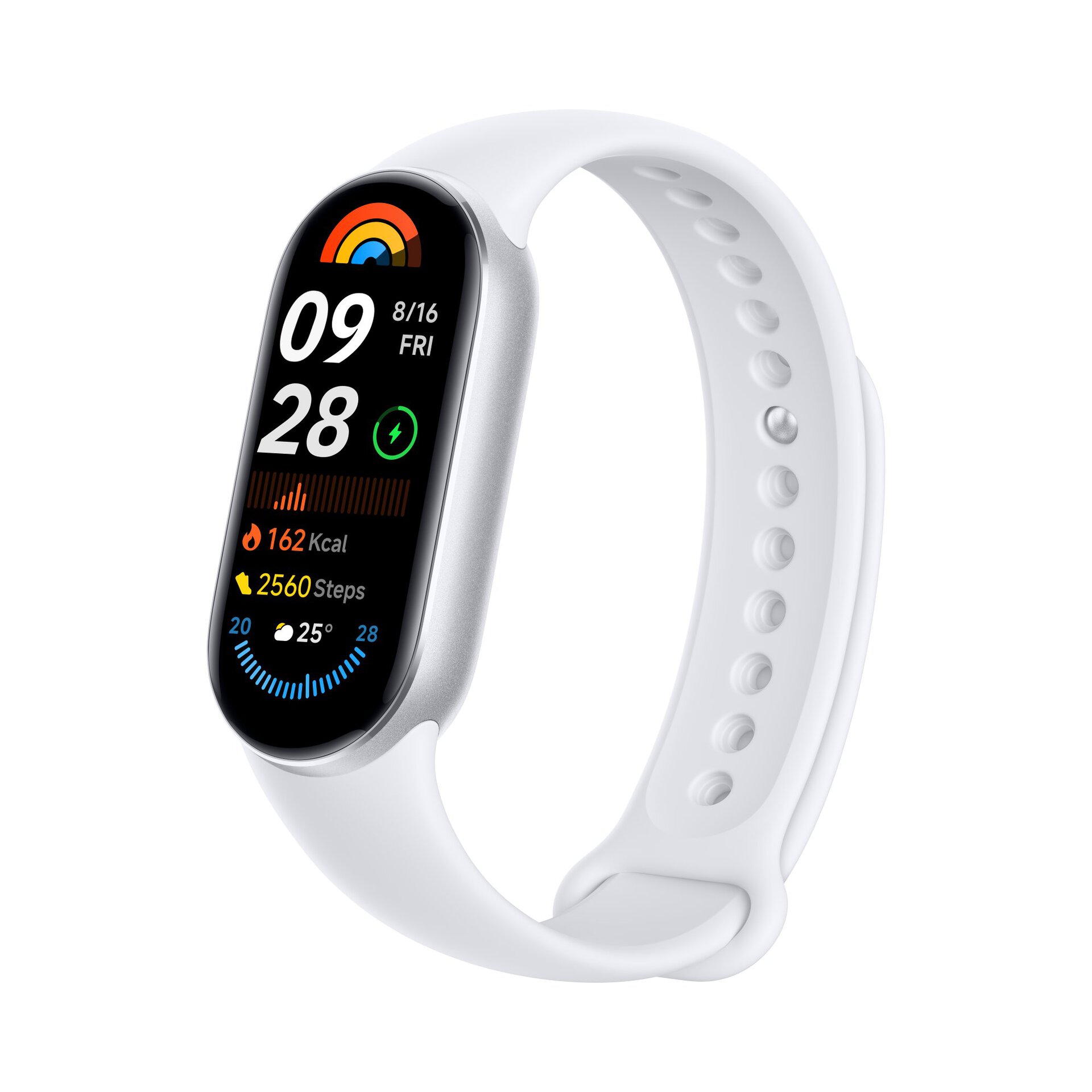 Xiaomi Smart Band 9 global