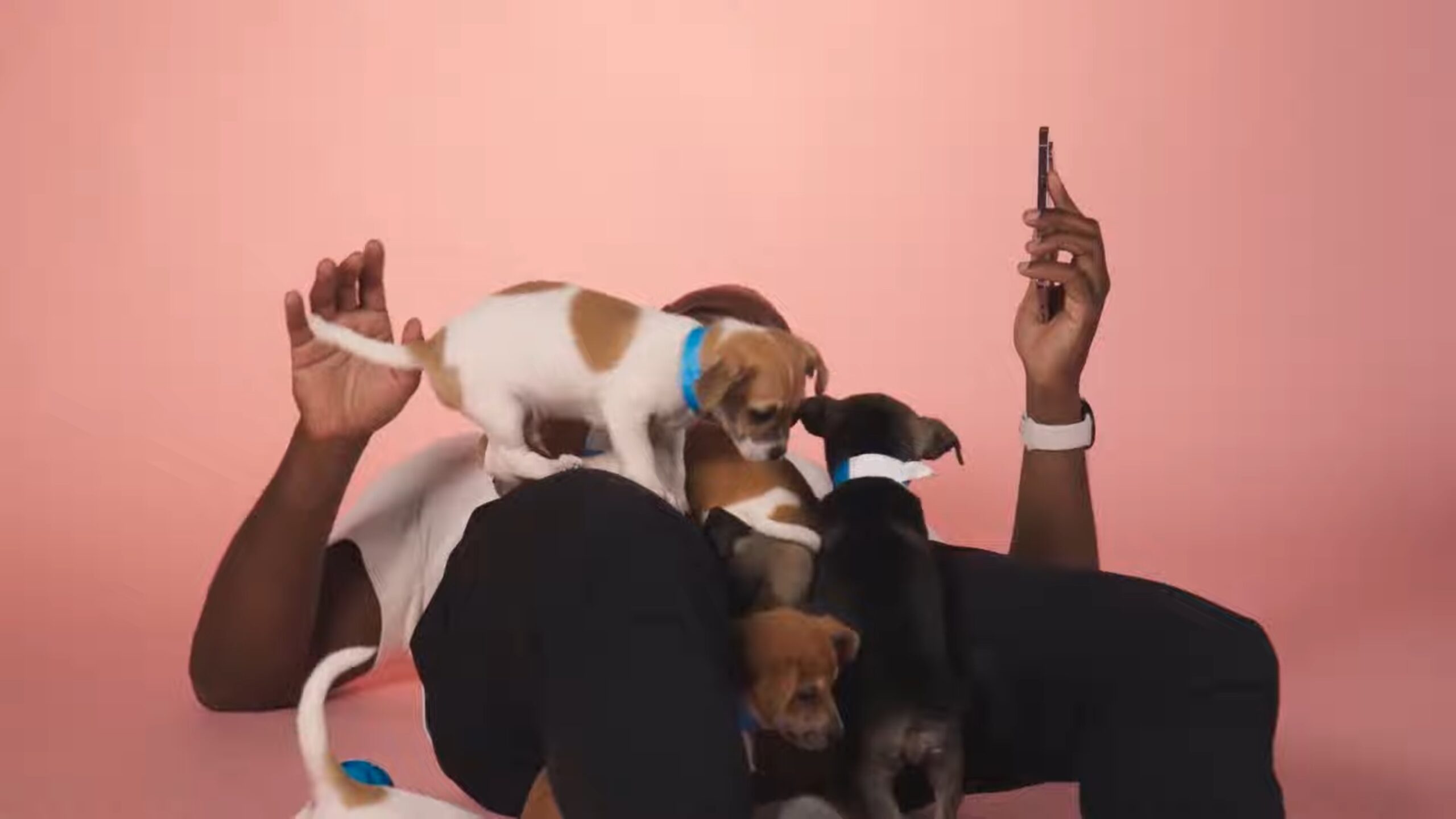 Google's Kenny Sulaimon being overrun by puppies