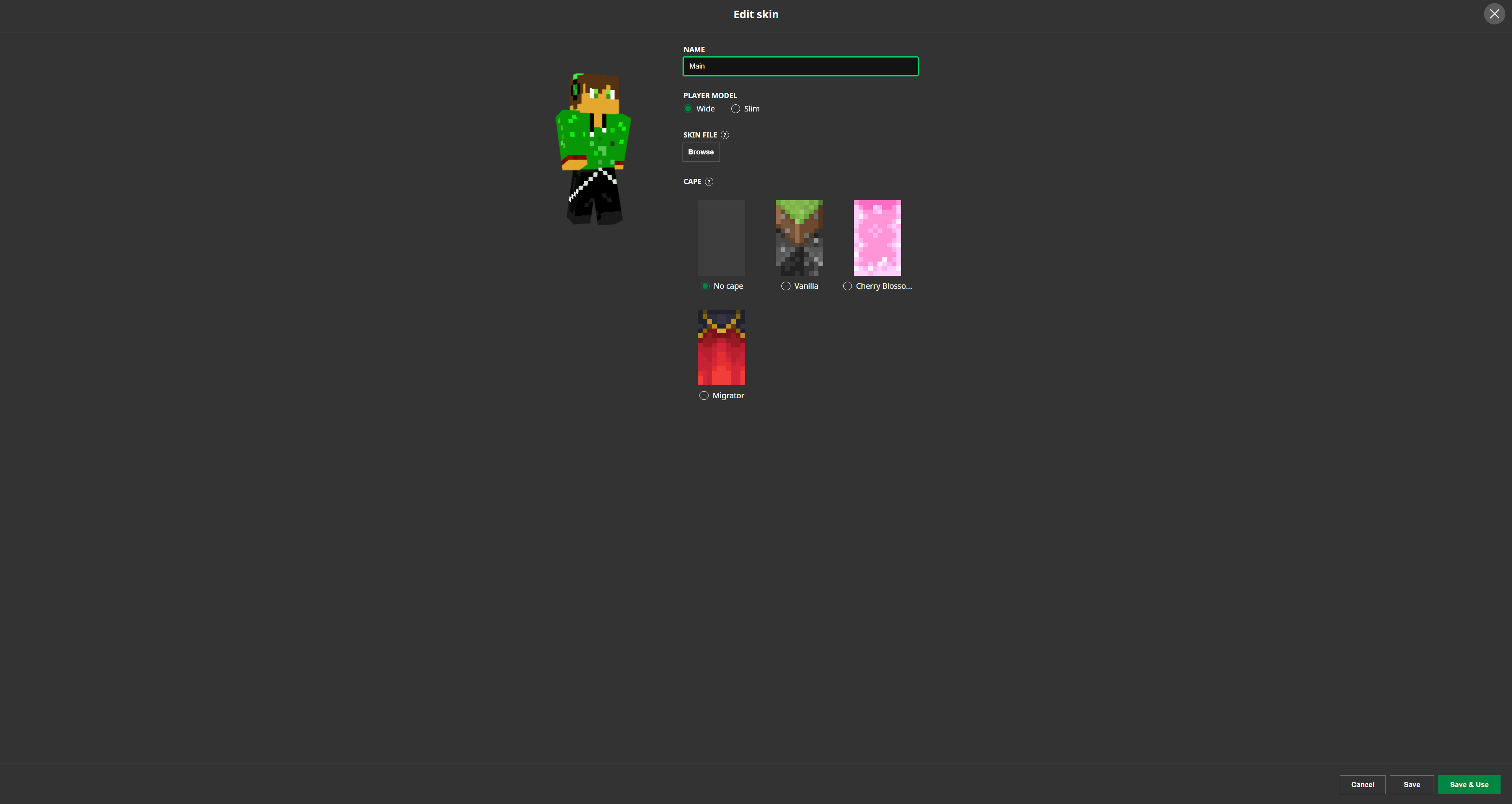 minecraft java skin editor