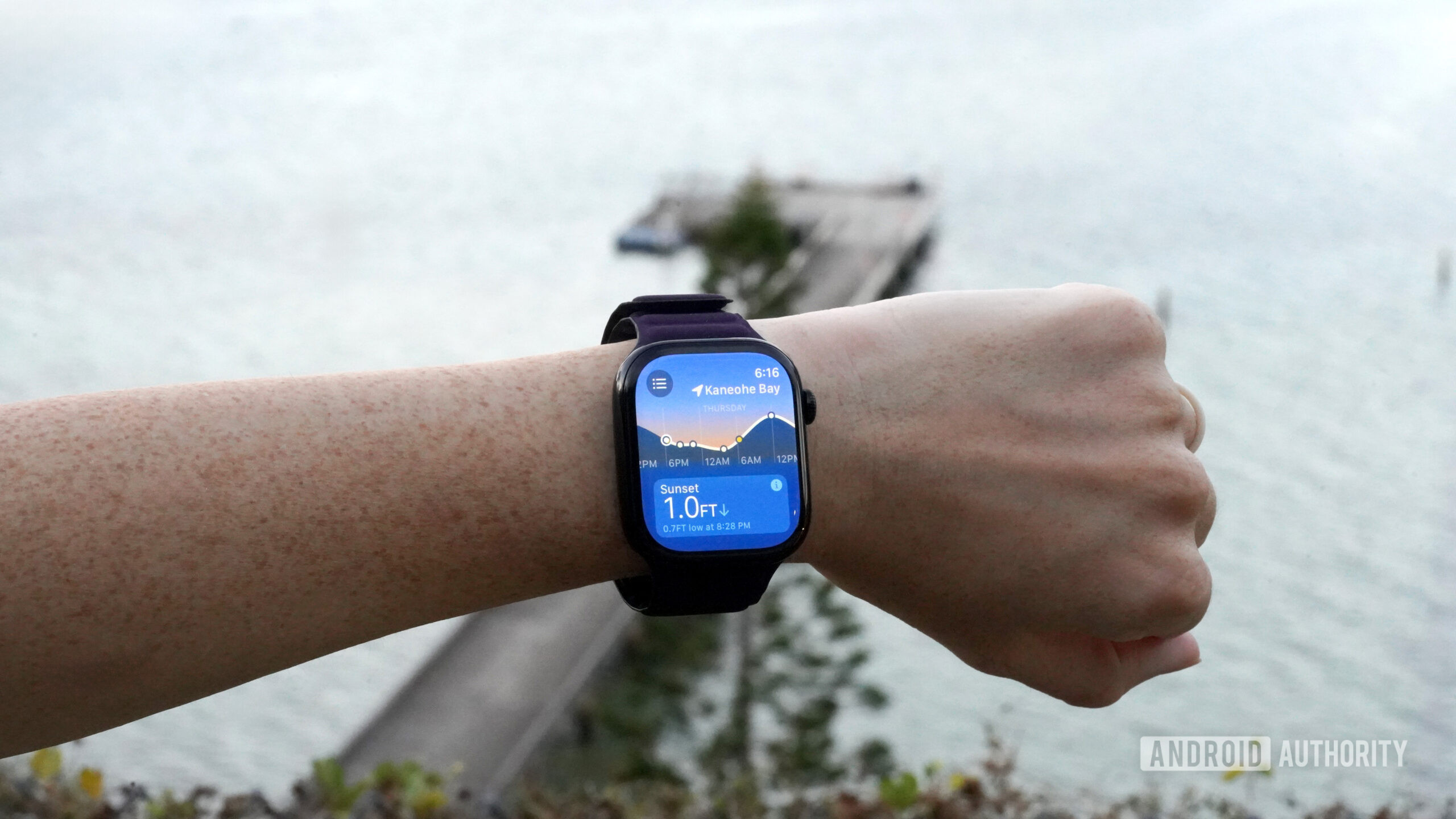 An Apple Watch Series 10 displays the Tides app.