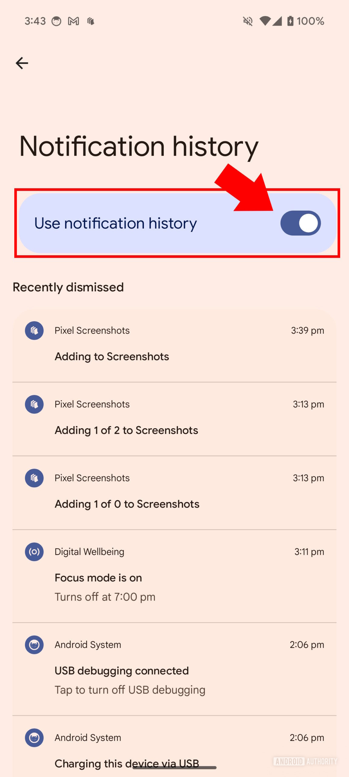 Notification History on Pixel UI 3