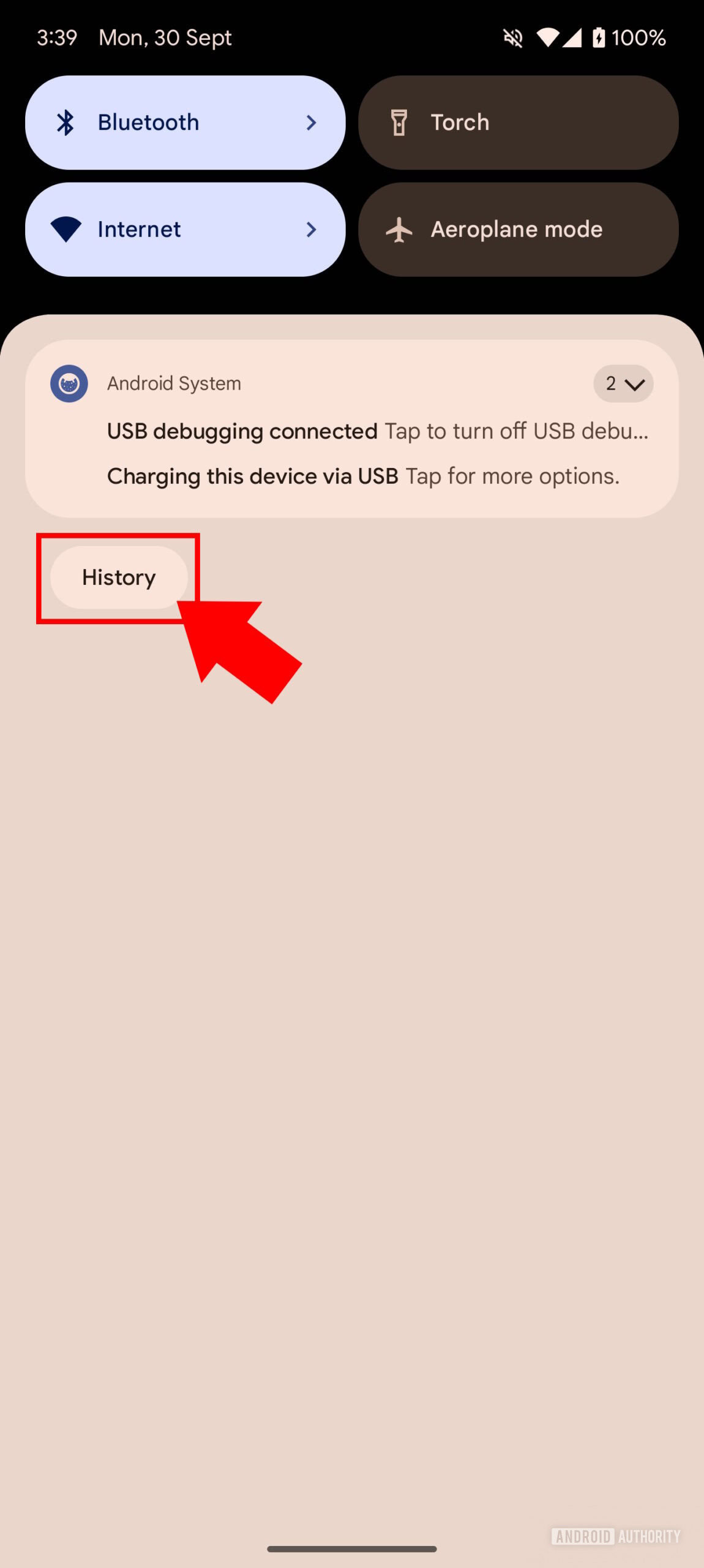 Histori notifikasi di Pixel UI 4