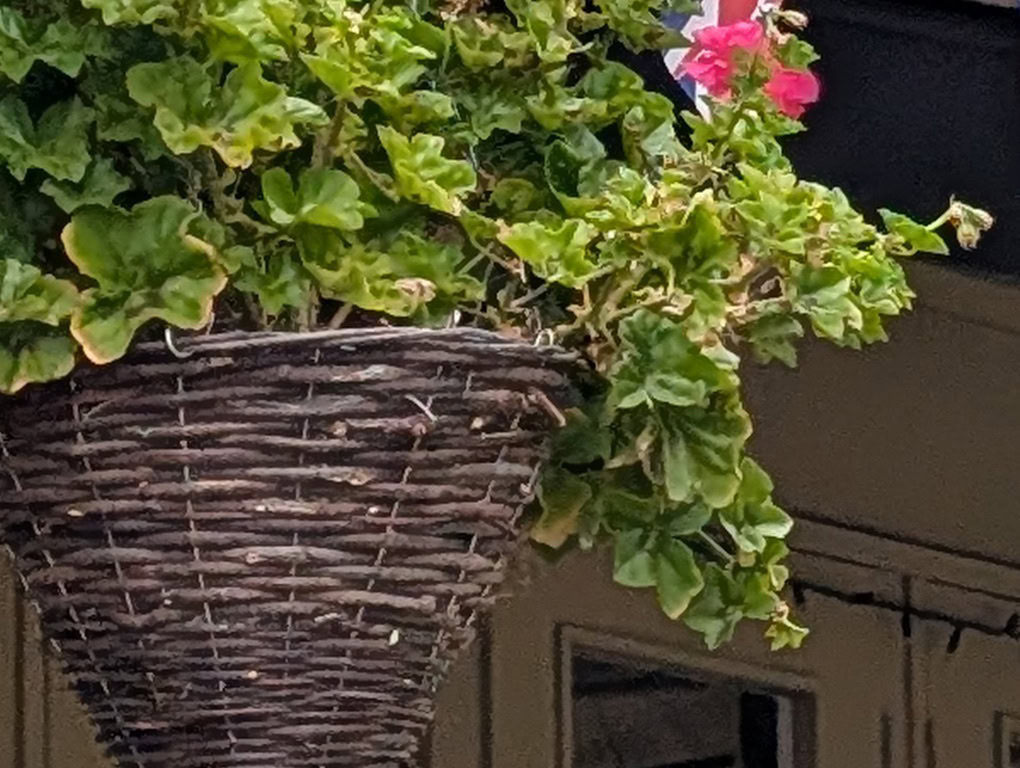 Pixel 9 camera sample 3x crop