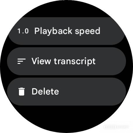 Screenshot of context menu in Pixel Watch 3's Recorder app.