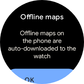 pixel watch google maps offline 0