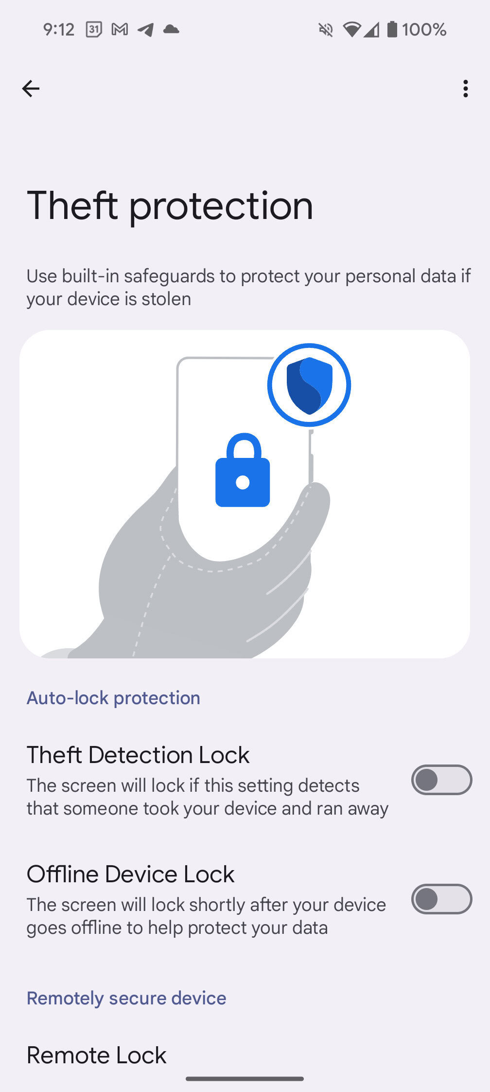 Google Pixel 9 Pro XL theft protection