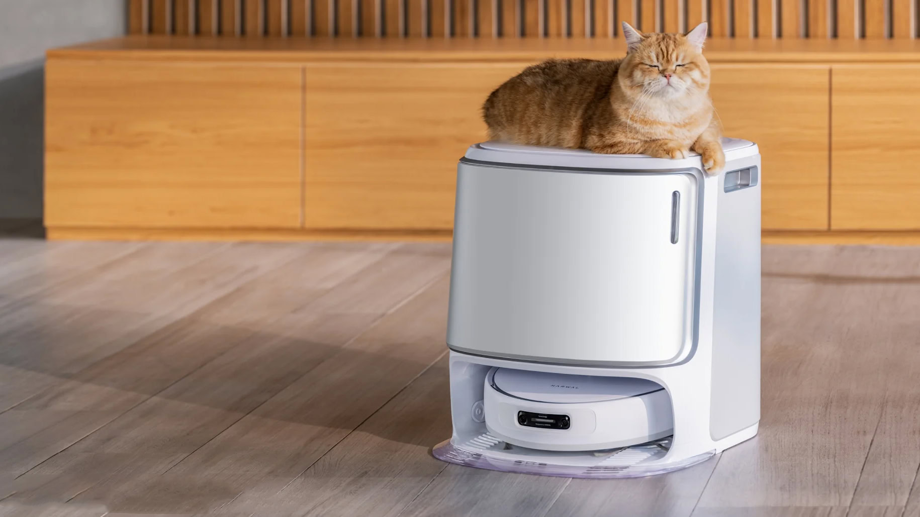 Narwal-Freo-Z-Ultra-robot-vacuuma-and-mop-with-cat.jpg