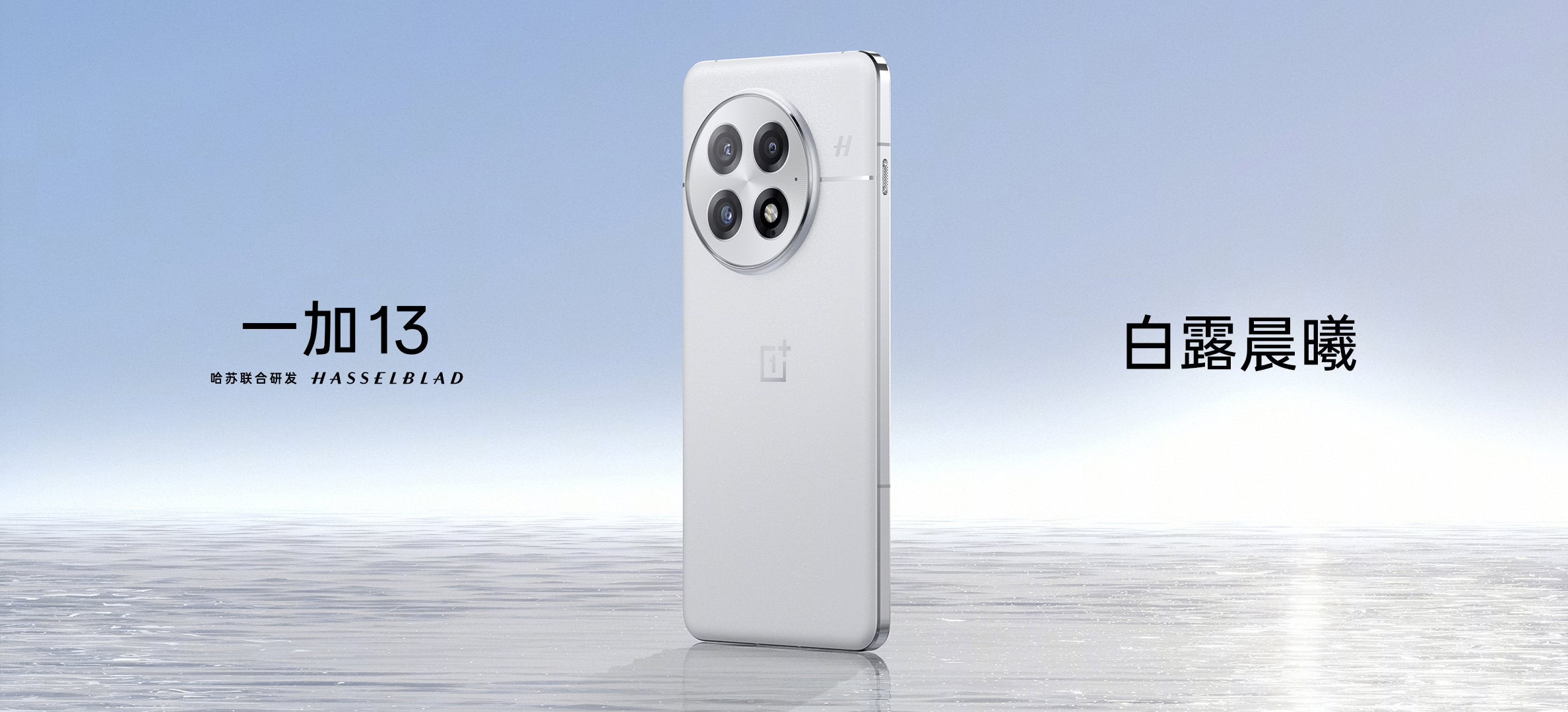 OnePlus 13 white