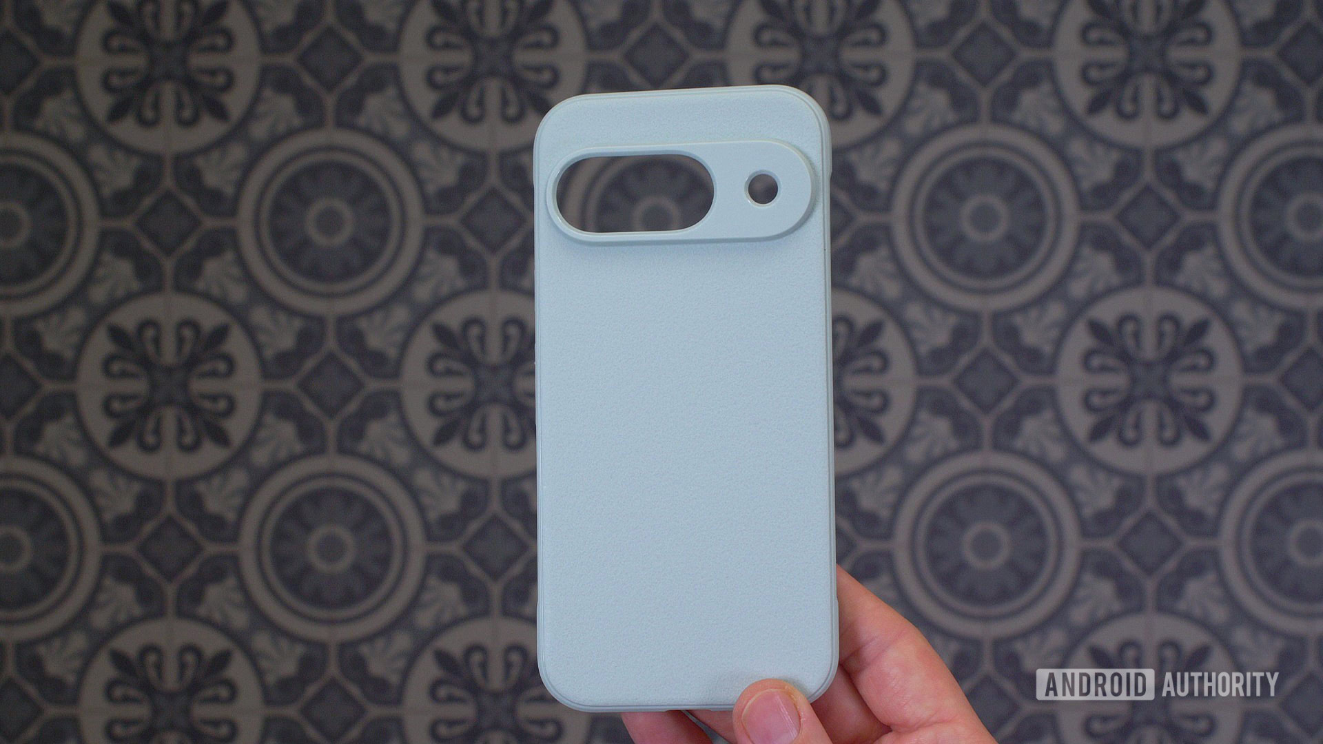 Want a cheap, simple Pixel 9 case? Get the Ringke Onyx