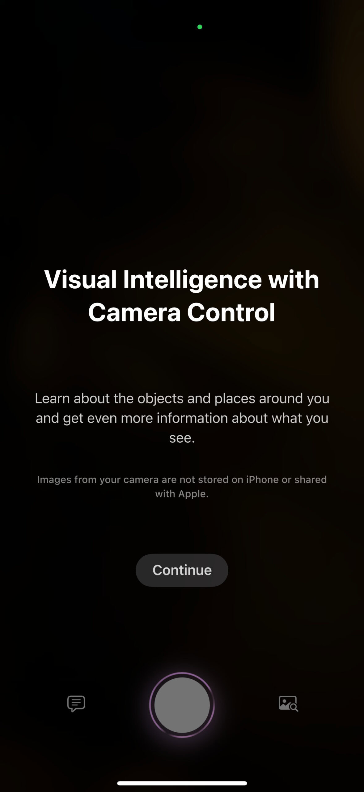 Visual Intelligence splash screen on iOS 18.2 beta 1