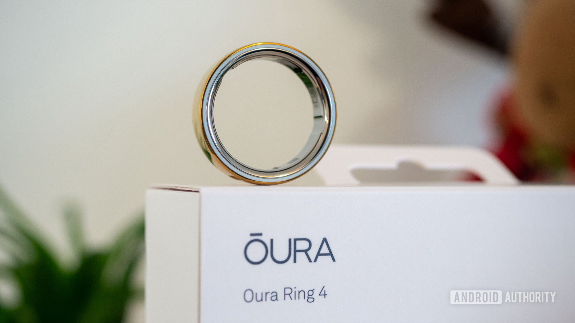 oura ring 4 and box 2