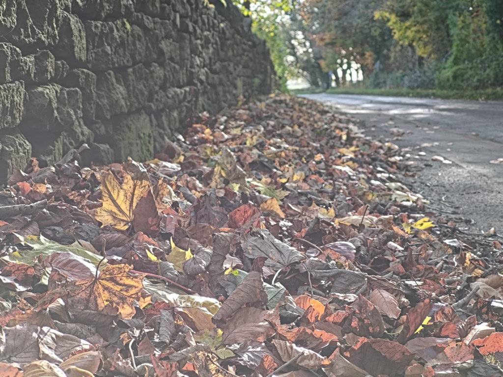 ASUS ROG Phone 9 Pro camera sample 3x zoom wash out