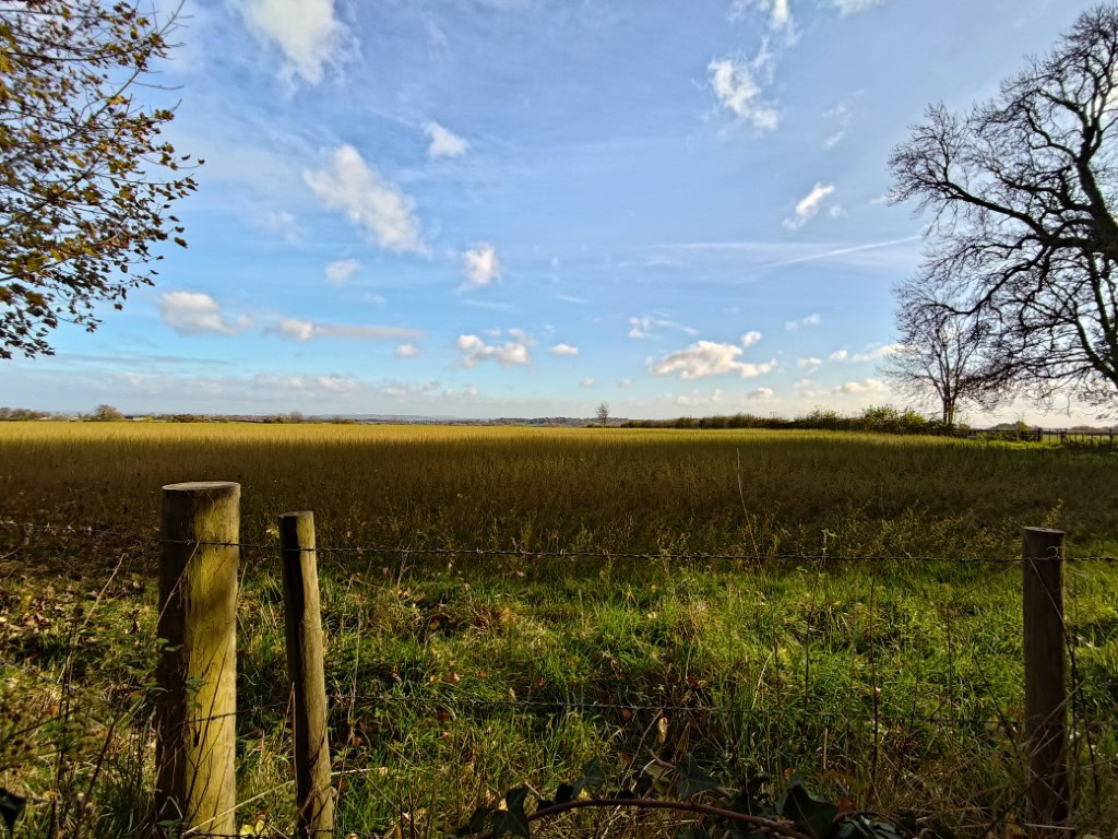 ASUS ROG Phone 9 Pro camera sample ultrawide field