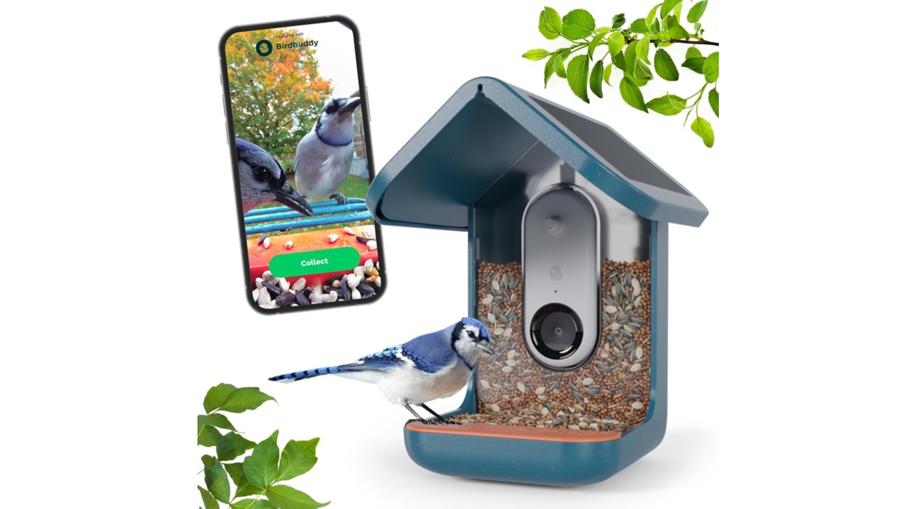 Bird Buddy Smart Bird Feeder Press Image