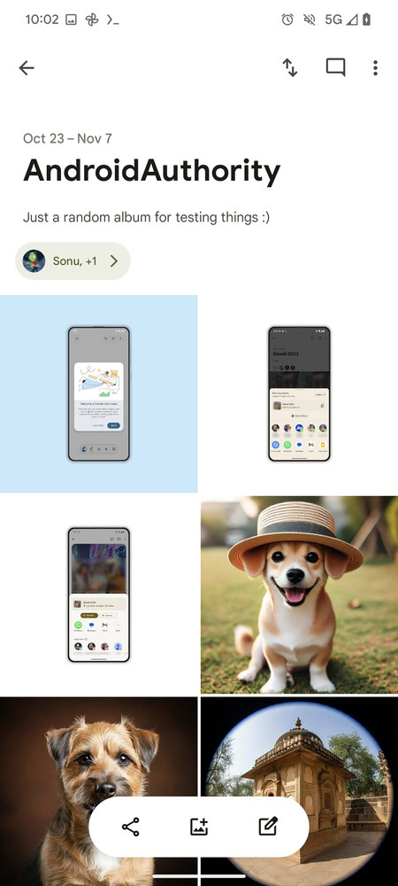 Google Photos Album new 2