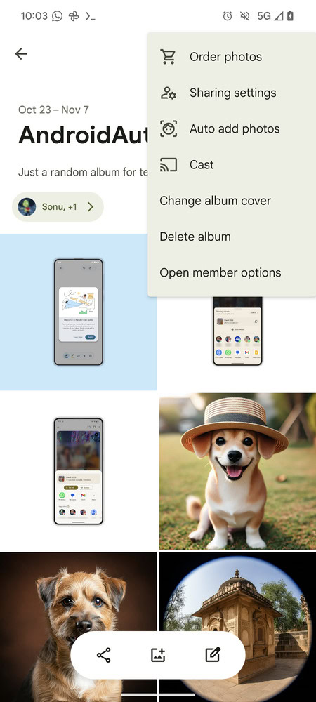 Google Photos Album new