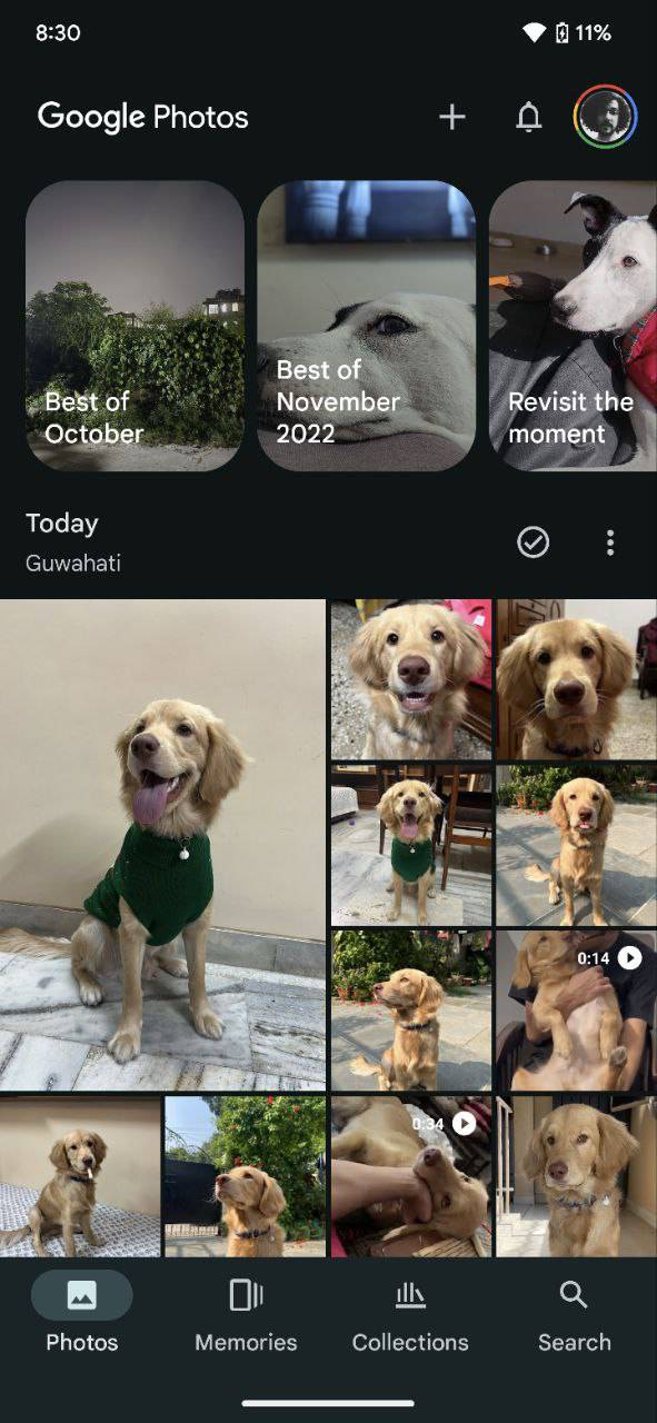 Screenshot of Google Photos home page with new Updates feed bell icon