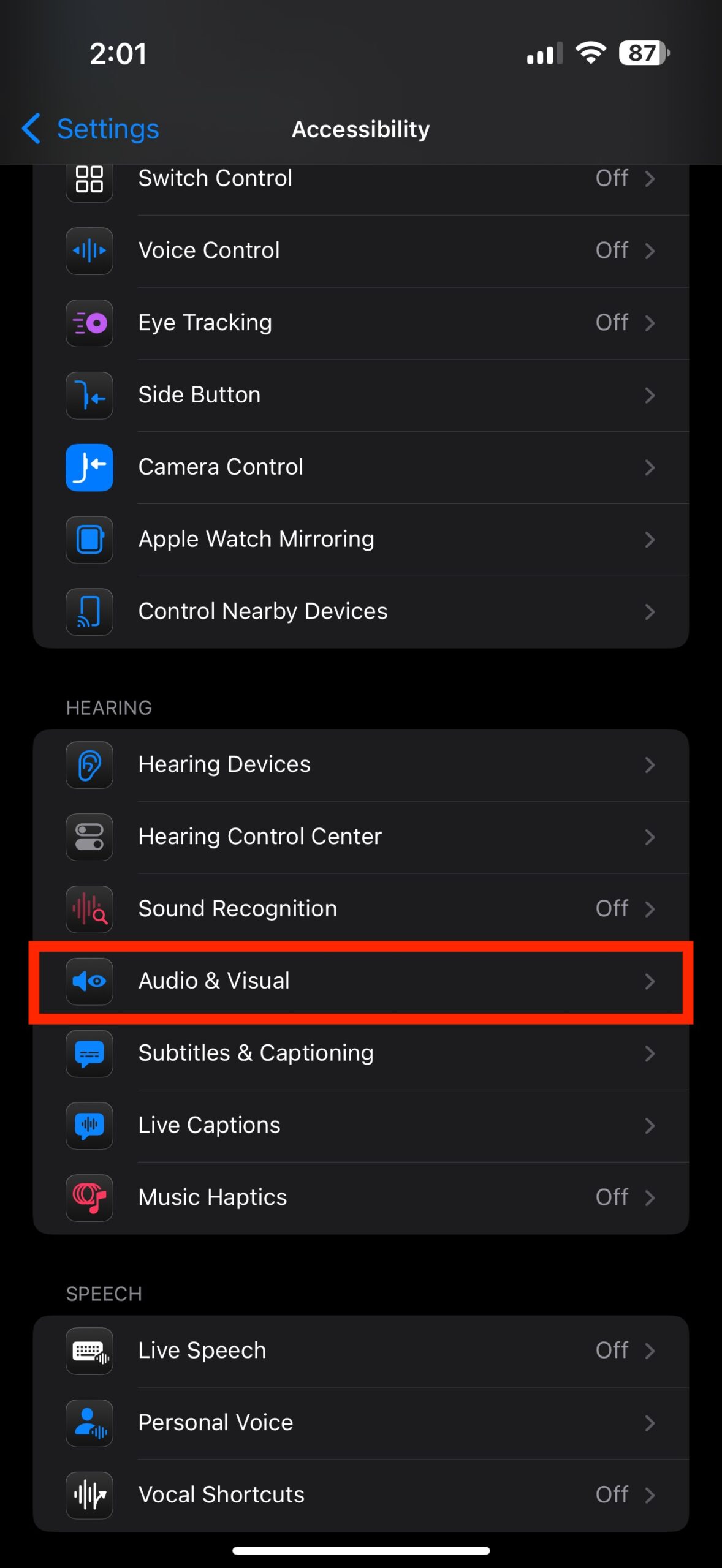 Audio and Visual settings on iOS