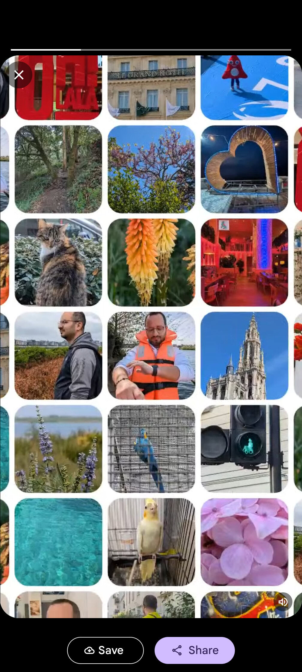 My Spotify Wrapped fell flat, but Google Photos nailed my 2024 recap