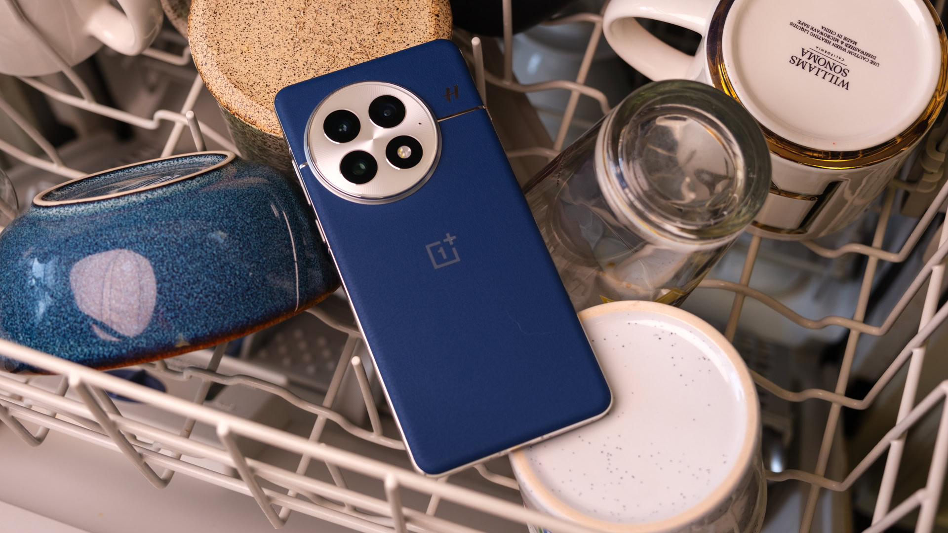 OnePlus 13 on dishes