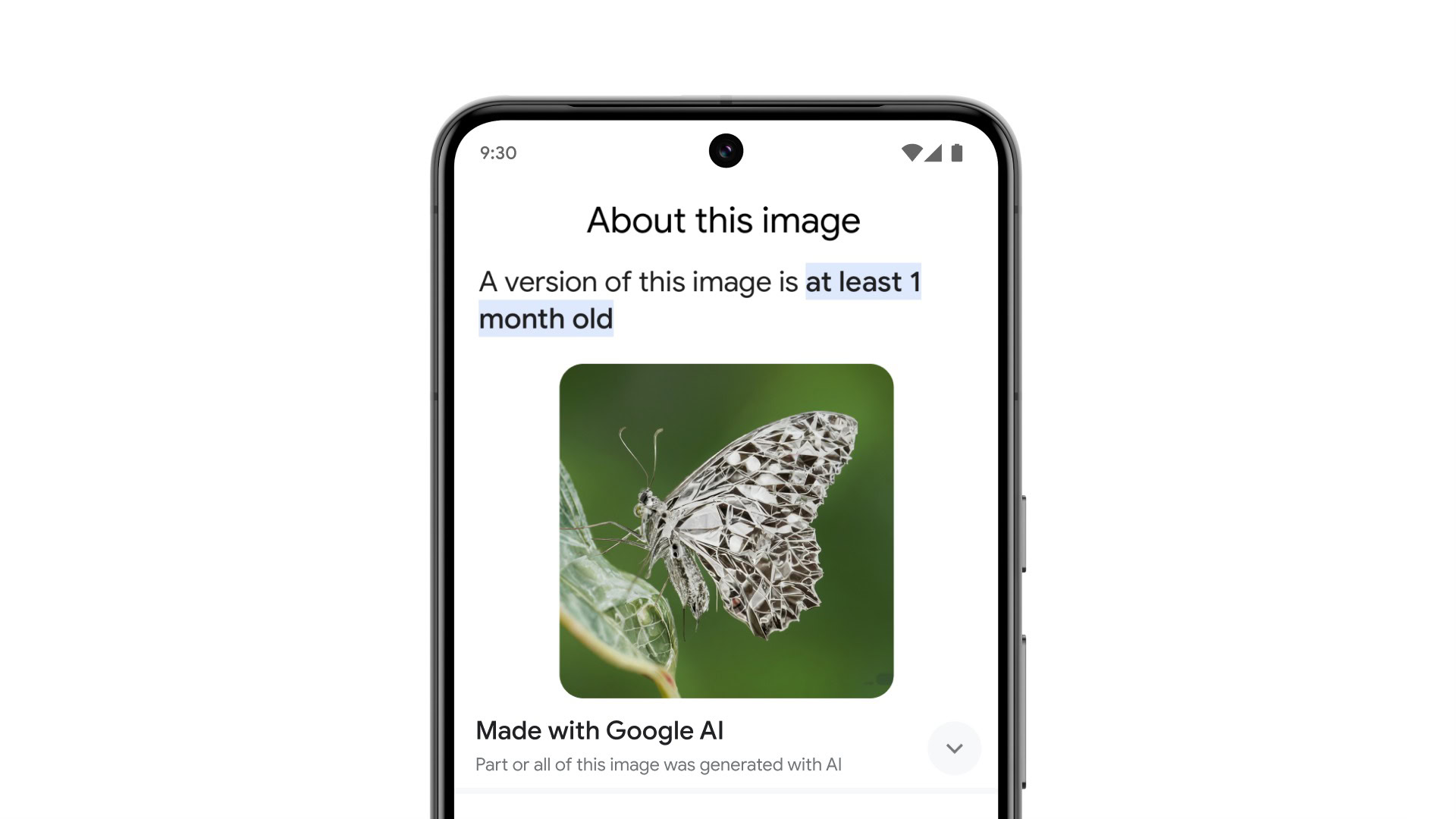 About Google Example of This Image Feature