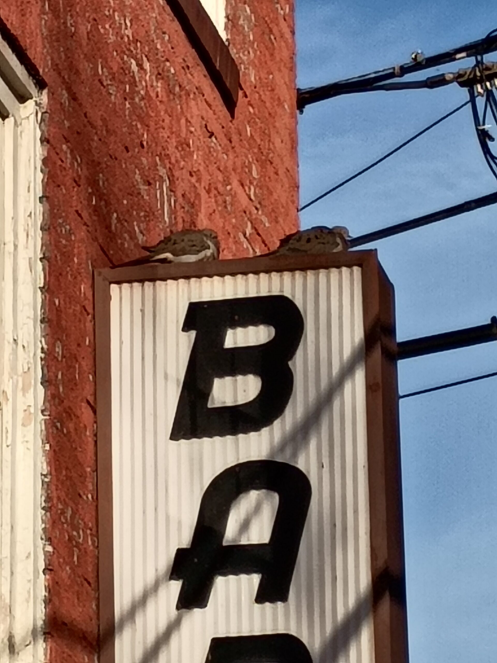 Motorola Moto G 5G 2025 doves on bar sign 8x zoom