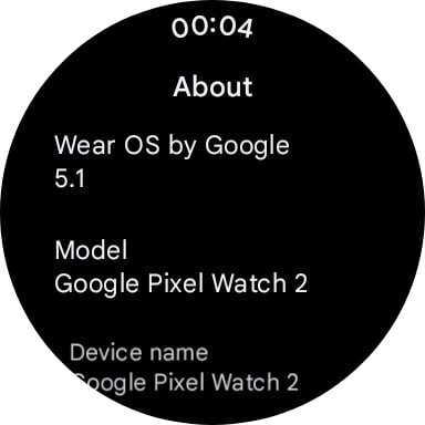 Pixel Watch Wear OS 5.1 update screenshot