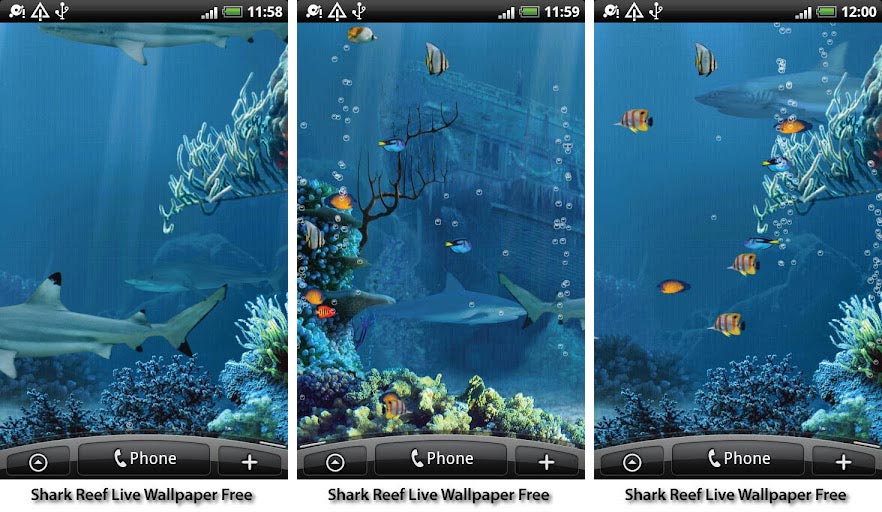 free living marine aquarium screensaver
